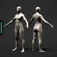 Average Female Body Basemesh