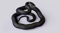 Black Mamba Rigged