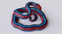 Rigged San Francisco Garter Snake