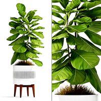 Decorative plant set-50