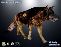 Dog German Shepherd