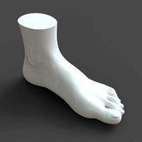 CAD compatible Woman Foot Model F1P1D0V1feet