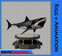 Great White Shark
