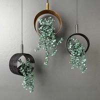 Dichondra ampel - decorative set