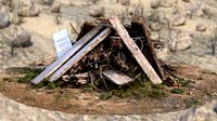 Wood Debris PhotoScan