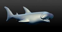 hammerhead shark