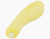 Yellow Squash Vegetable