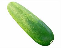 Cucumber Vegetable