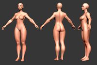 Female Body Basemesh 9