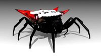 Spinybacked Spider