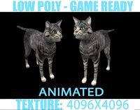 Cat Animated