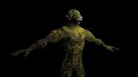 Reptilian Lizardman Humanoid