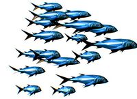 Animated Low Poly Art Flock Green Sea Fish