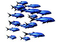 Animated Low Poly Art Flock Blue Sea Fish