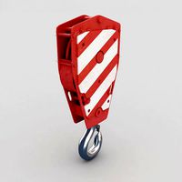 Crane Hook