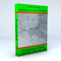 Fukuoka Buildings and Road Networks