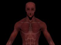 Embryo Adult - 3D Horror Creature -
