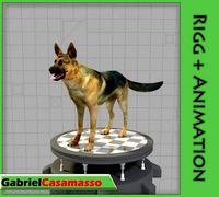 German Shepherd