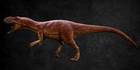 Allosaurus