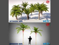 Palm Trees and Areca Vestiaria Trees Set