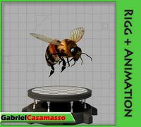 Honey Bee