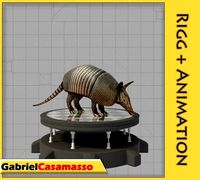 Armadillo