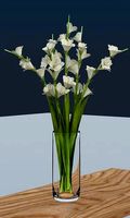 Gladiolous vase