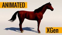Animated Horse
