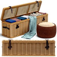 Brenna Leather Accent Woven Rattan Trunk