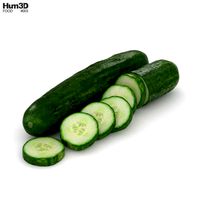Cucumber