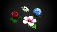 4 Flowers Collection - Rose Jasmin Hortensia Hibiscus