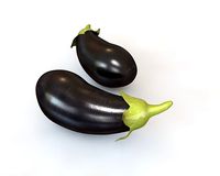Eggplant Brinjal