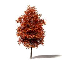 Alder 3D Model 7m