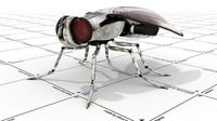 Robot Fly