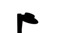The Hat