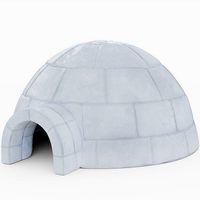 Igloo