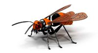 Mechanical wasp