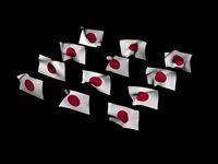 Japan National Flag