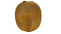Realistic - Kiwi
