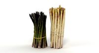Asparagus Collection