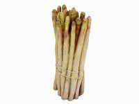 White Asparagus