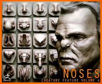 NOSES - 40 ZBrush VDM Nasal Areas