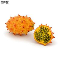 Kiwano