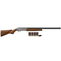 Gun