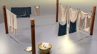 Clothes Line with Laundry Basket and Hanging Linens