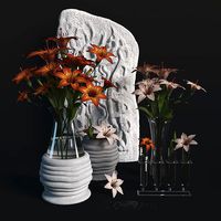 Lillies set