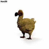 Dodo HD