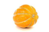 Melon