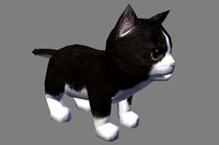 cat with animation