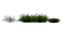 Lowpoly Grass Pack2